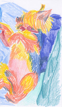 Colored pencil drawing of a yorkie lying on her back with her legs in the air. She's surrounded by pillows and blankets.