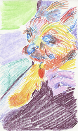Colored pencil drawing of a yorkie being held to look out a car window. Her fur is blowing in the wind.