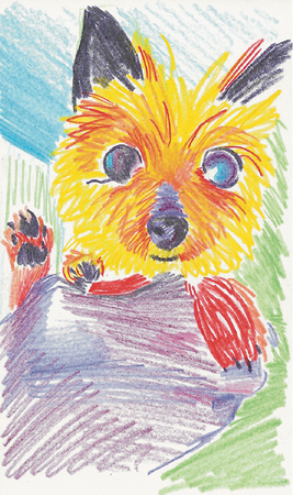 Colored pencil drawing of a yorkie being held. Her front paws are resting on top of the person's hand and one of her back paws is sticking up.