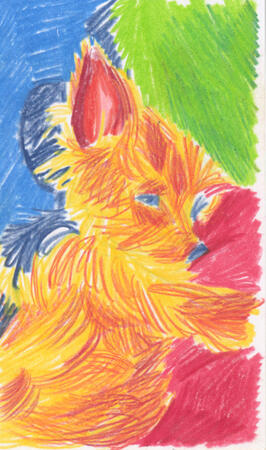 Colored pencil drawing of a yorkie sleeping. One of her legs is sticking straight out.
