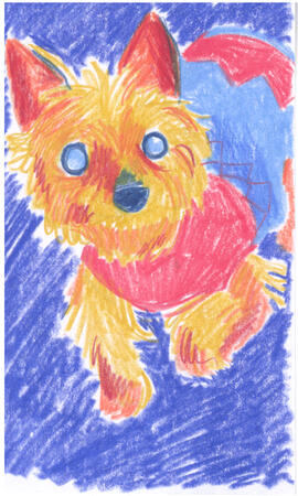 Colored pencil drawing of a yorkie looking up. She's wearing a little sweater