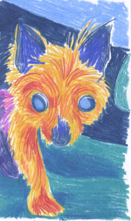 Colored pencil drawing of a yorkie on someone's lap. Only her head and one leg are visible before it cuts off on the side.