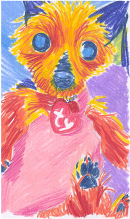 Colored pencil drawing of a yorkie being held in one hand. She has a beanie baby tag on her collar. Both of her back legs are pulled up in front of her.