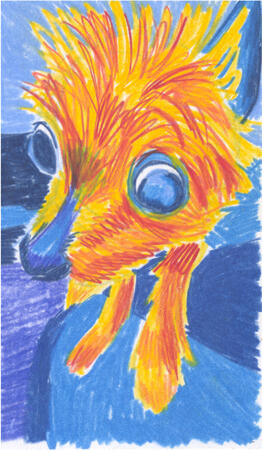 Colored pencil drawing of a yorkie taken extremely close to her face. Her eyes are bulging at this angle.