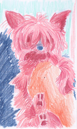 Colored pencil drawing of a yorkie being held upright with one hand. She has bangs that cover her eyes and her back paws are raised in front of her.