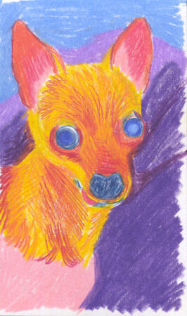 Colored pencil drawing of a chihuahua. Her eyes and nose are lopsided and she's wearing a little sweater.